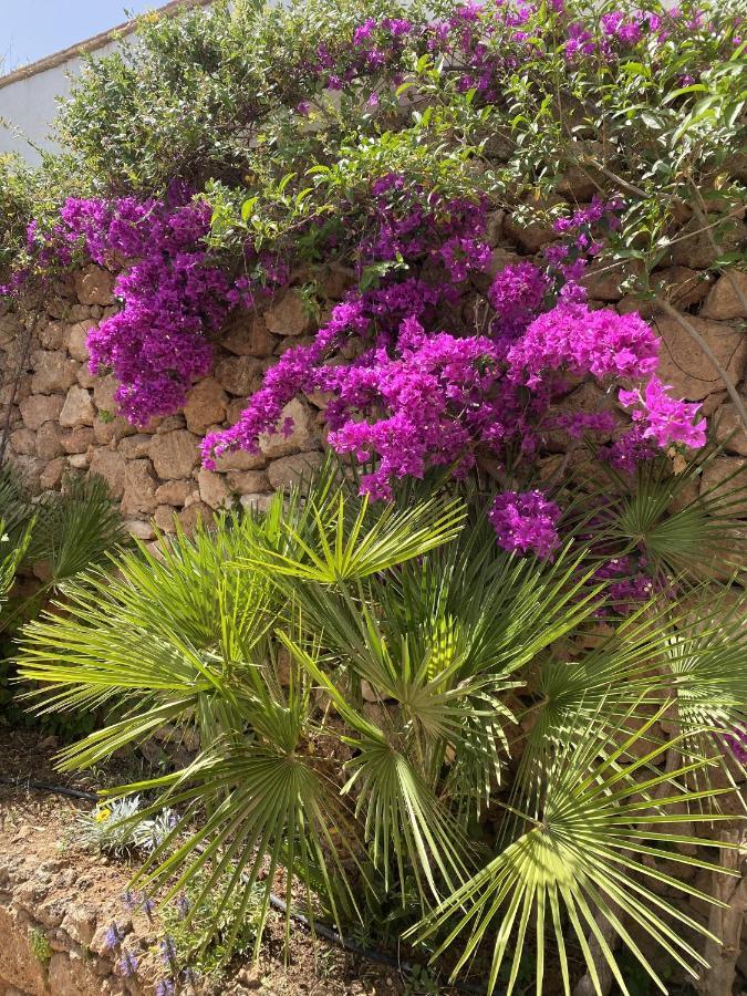 Terraced House In The Mountains With Fantastic View Malaga Exterior photo